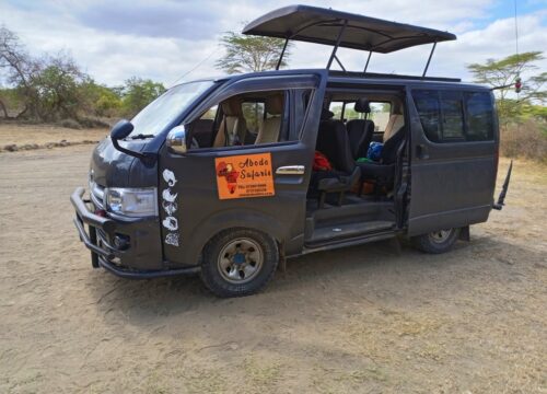 3-Day Maasai Mara Wildebeest Migration Safari 2024