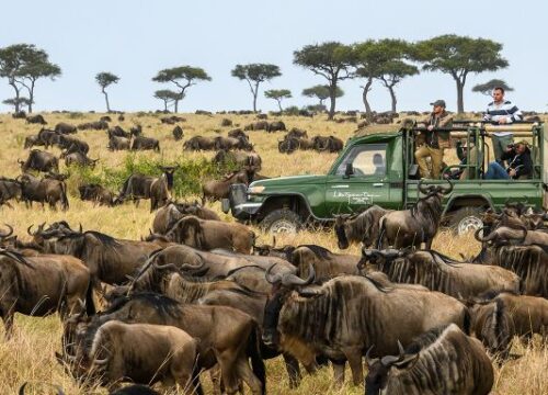 Nairobi: 4-Day Masai Mara & Lake Nakuru Safari - Mid-range