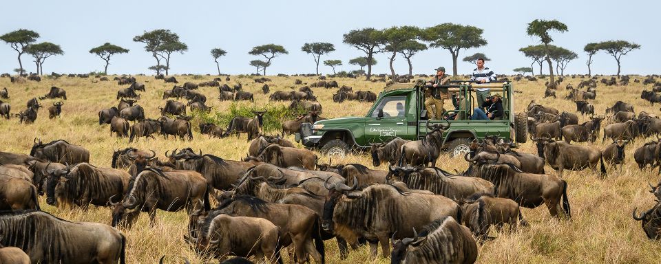 Nairobi: 4-Day Masai Mara & Lake Nakuru Safari - Mid-range