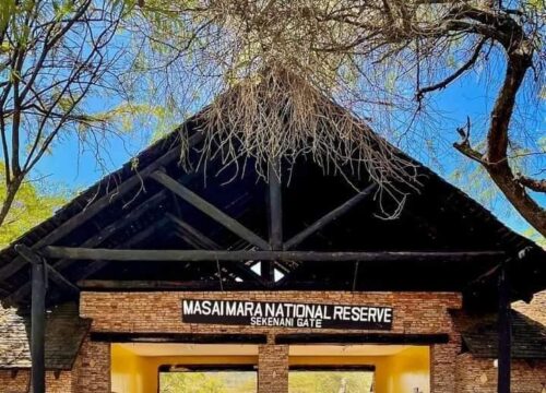 Maasai Mara National Reserve Fees 2024-2025