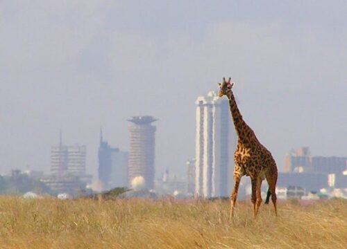 Day Nairobi City Tour