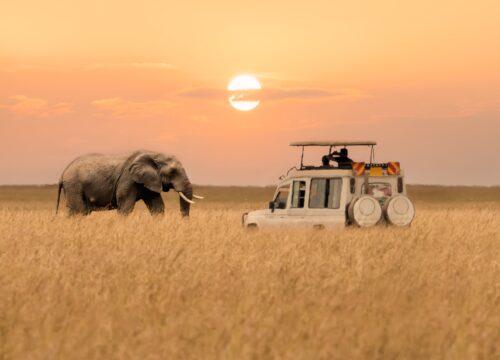 3Days 2Nights Maasai Mara Flying Package