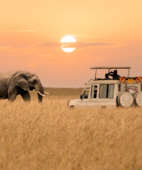 3Days 2Nights Maasai Mara Flying Package