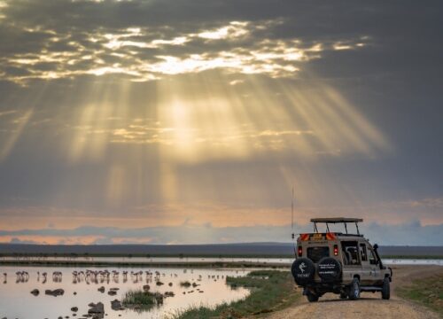 6Days 5Nights Kenya & Tanzania Private Safaris