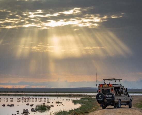 6Days 5Nights Kenya & Tanzania Private Safaris