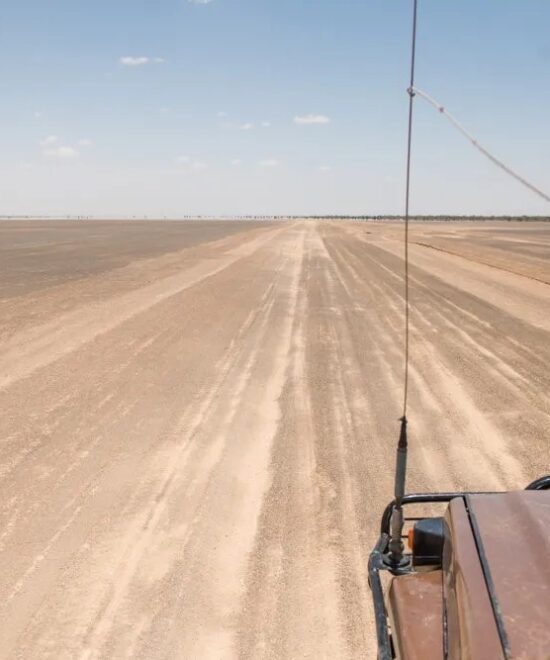 7Days 6Nights Kenya & Tanzania Private Safaris